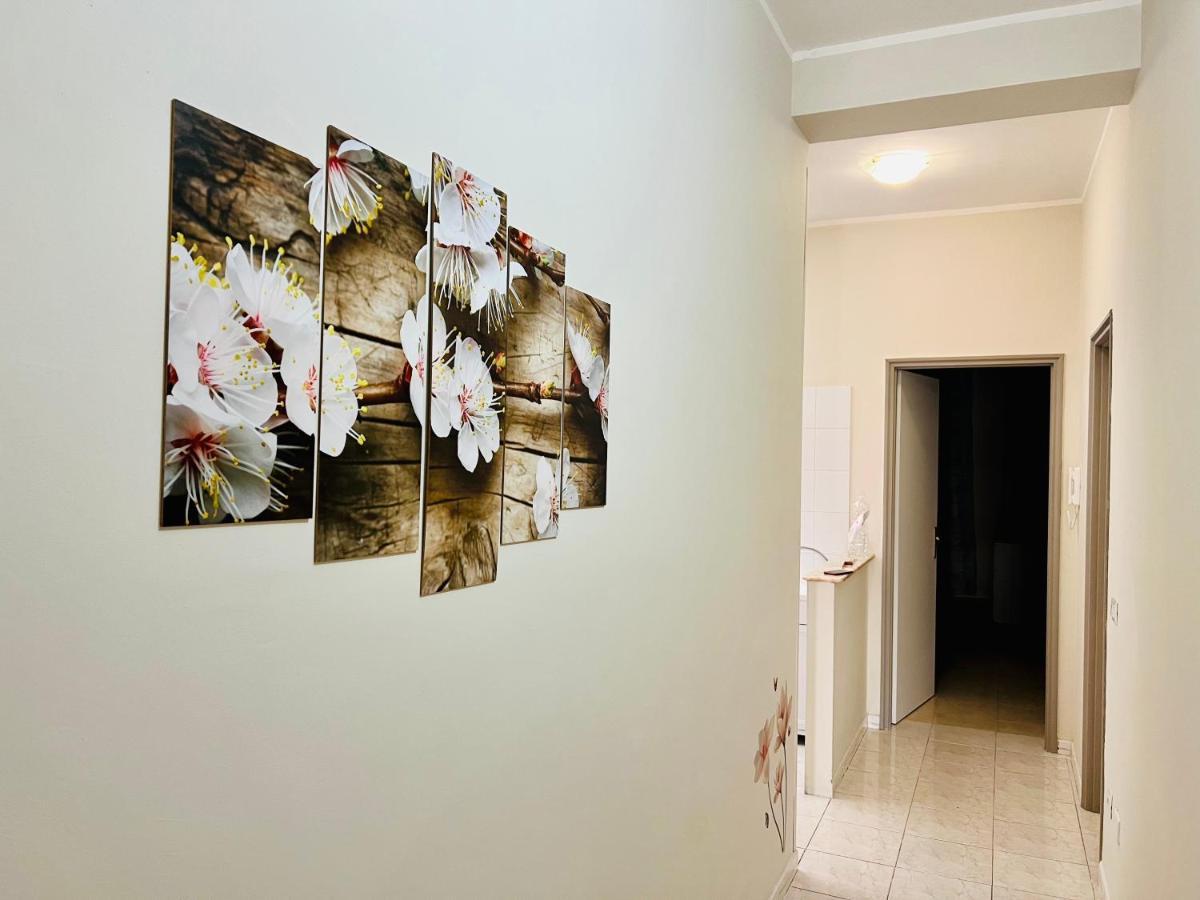 Casavacanze Barocconetino ノート エクステリア 写真